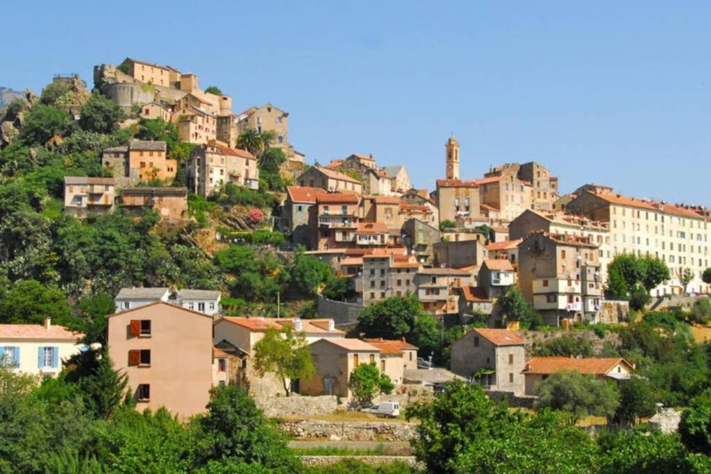 Magnifique Grand 30m2 Refait A Neuf En 2025 Lumineux 4 Couchages Hyper Centre Corte 13 Cours Paoli Wifi Tv Lave Linge Apartment Corte (Corsica)