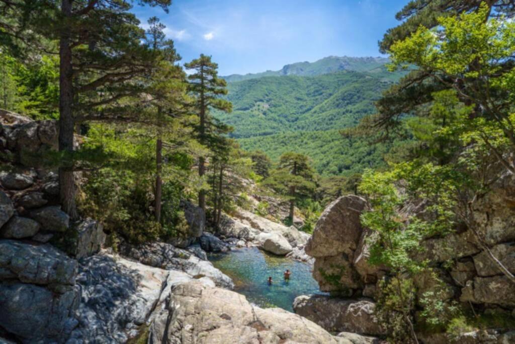 Apartment Magnifique Grand 30m2 Refait A Neuf En 2025 Lumineux 4 Couchages Hyper Centre Corte 13 Cours Paoli Wifi Tv Lave Linge Corte (Corsica)